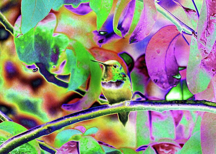 Hummingbirds Greeting Card featuring the photograph Solarized Hummer by Wendy McKennon