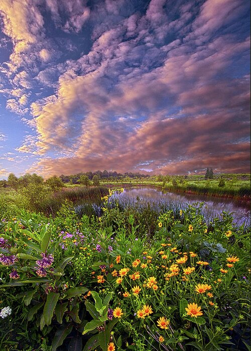 Wisconsin Horizons By Phil Koch Greeting Card featuring the photograph Sometimes We Are In Doubt But Never In Despair by Phil Koch