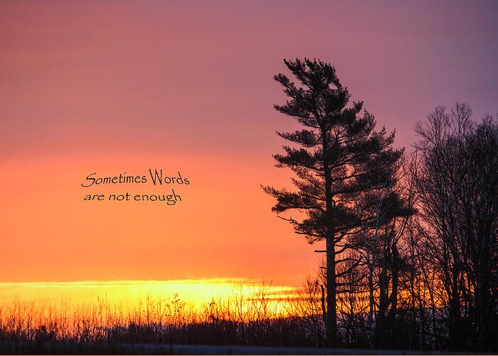 Sunrise Greeting Card featuring the photograph Sometimes Words Are Not Enough by Sue Capuano