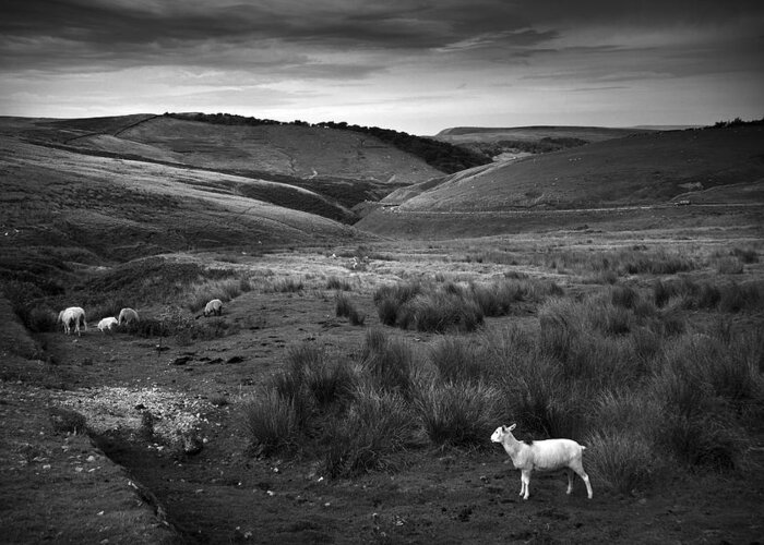 Peak District Greeting Card featuring the photograph Somewhere by Dorit Fuhg