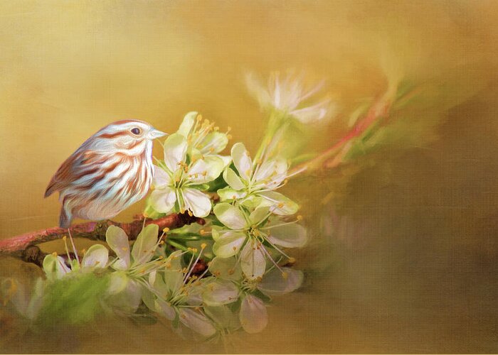 Songbird Greeting Card featuring the photograph Song Sparrow by Cathy Kovarik
