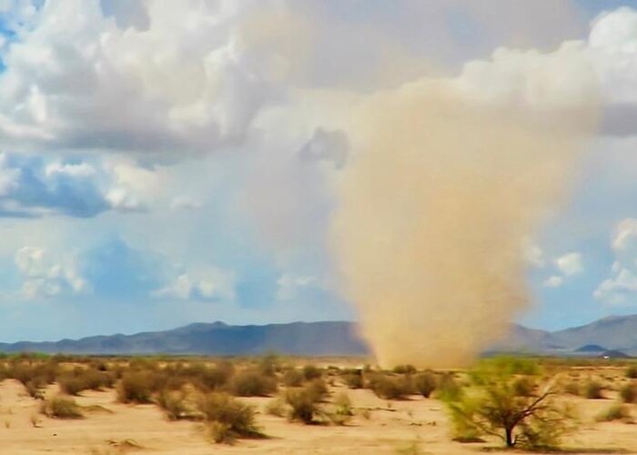 Arizona Greeting Card featuring the photograph Sonoran Desert Dust Devil by Judy Kennedy