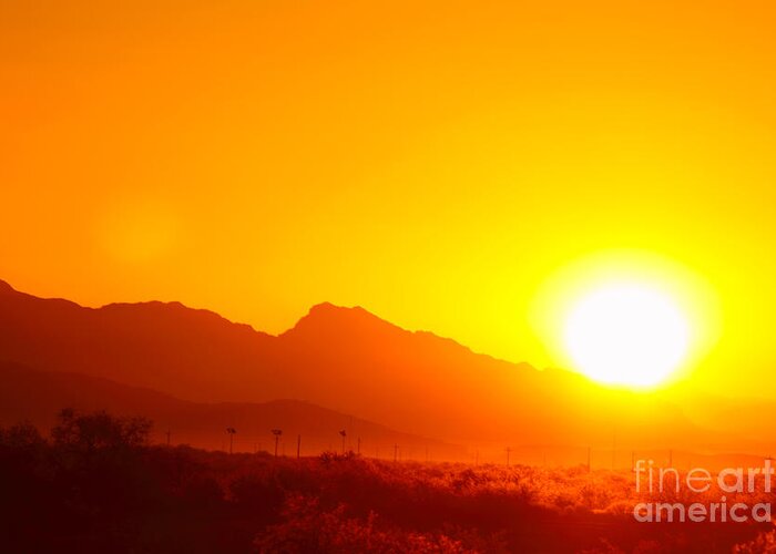 Arizona Greeting Card featuring the photograph Sonoran Desert Sunrise by Max Allen