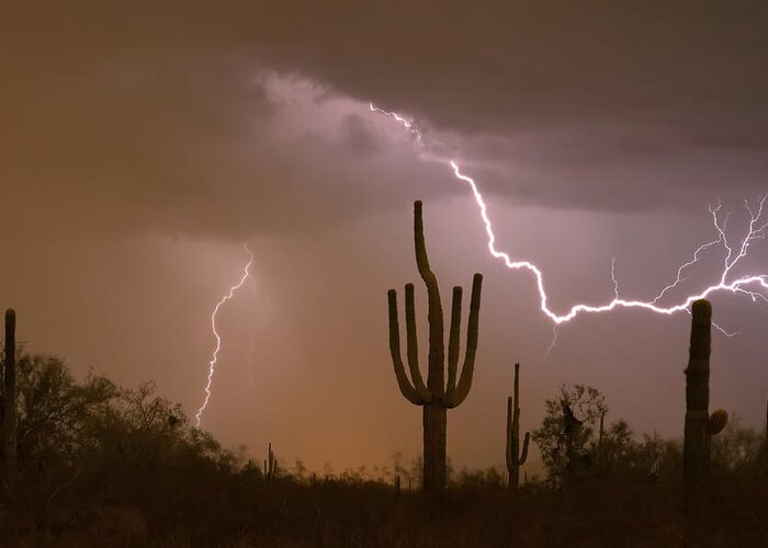 Lightning Greeting Card featuring the photograph Sonoran Saguaro Southwest Desert Lightning Strike by James BO Insogna