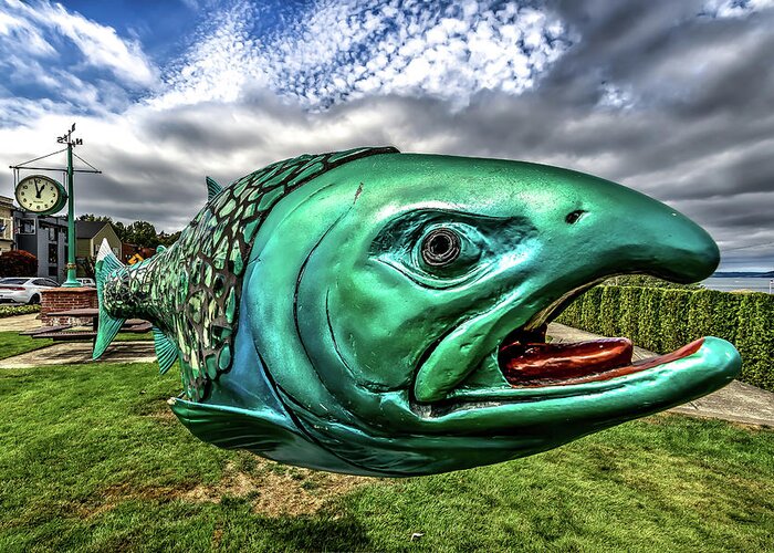 The Greeting Card featuring the photograph Soul Salmon in HDR by Rob Green