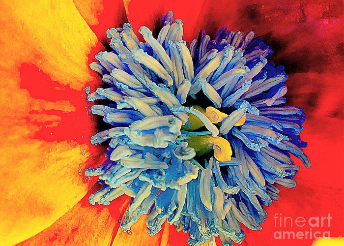 Blossom Greeting Card featuring the photograph Soul vibrations by Jolanta Anna Karolska