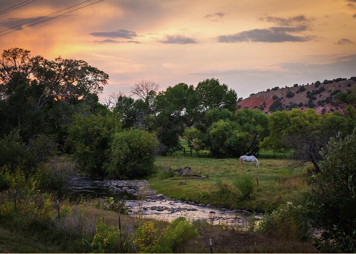 National Parks Greeting Card featuring the photograph South Dakota by Aileen Savage