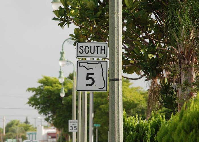 South Greeting Card featuring the photograph South Florida 5 by Rob Hans