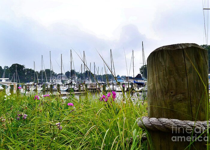 Sailboats Greeting Card featuring the photograph South Haven Marina by Amy Lucid