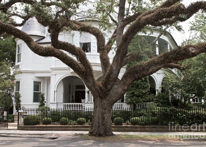 Charleston Greeting Card featuring the photograph Southern Home by Crystal Garner