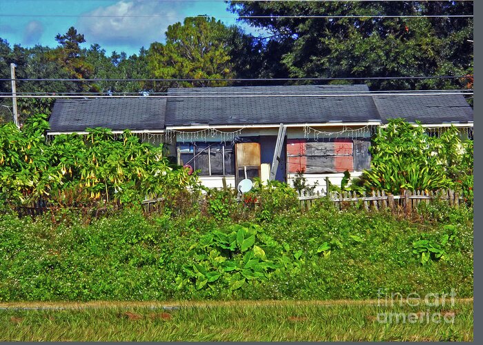 House Greeting Card featuring the photograph Southern House by Joe Roache