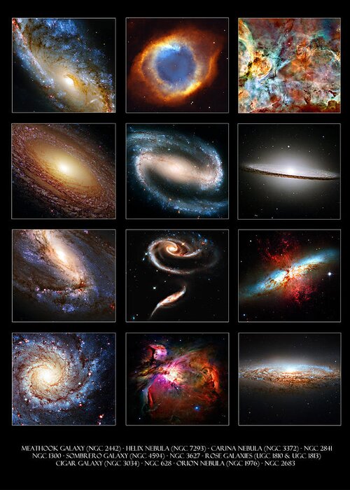 Meathook Greeting Card featuring the photograph Space Beauties by Ricky Barnard