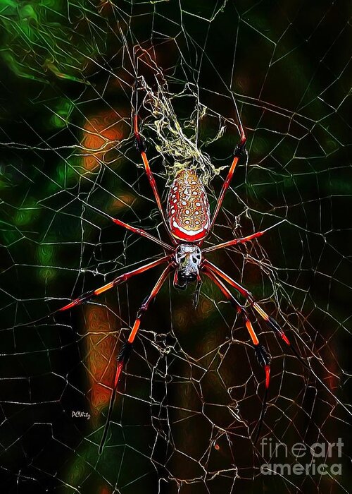 Spider Silk Greeting Card featuring the photograph Spider Silk by Patrick Witz