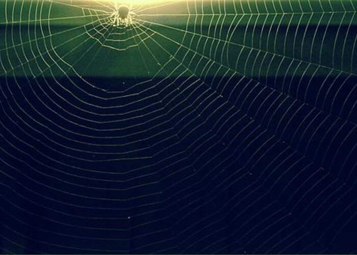  Greeting Card featuring the photograph Spider Sunset 2 by Brian Sereda