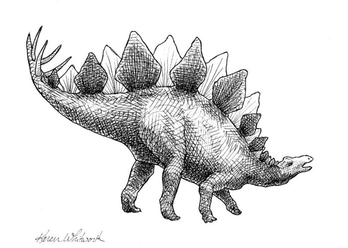 Dinosaur Decor Greeting Card featuring the drawing Stegosaurus - Dinosaur Decor - Black and White Dino Drawing by K Whitworth