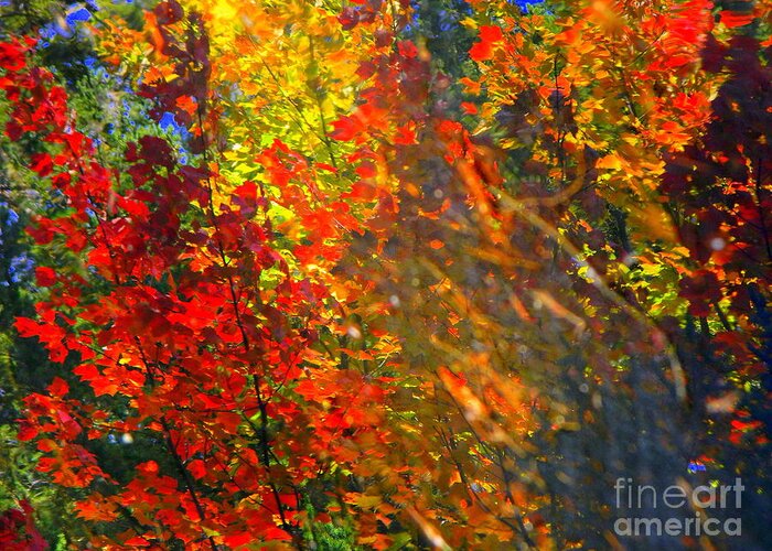 Autumn Greeting Card featuring the photograph Splash by Elfriede Fulda