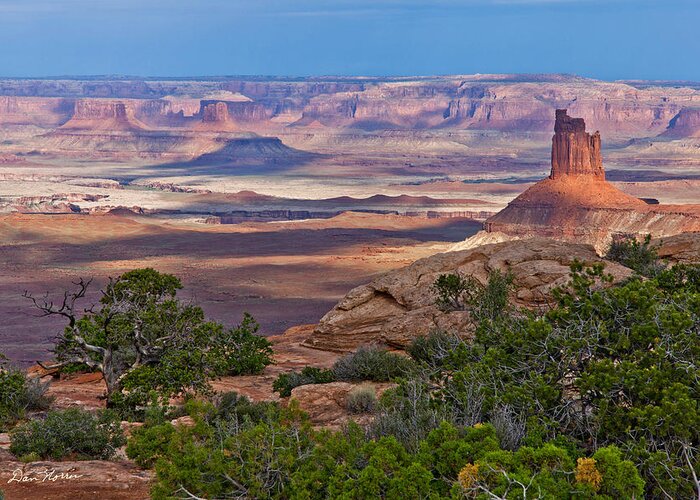 Canyonlands National Park Greeting Card featuring the photograph Spotlighting at Candlestick Tower by Dan Norris