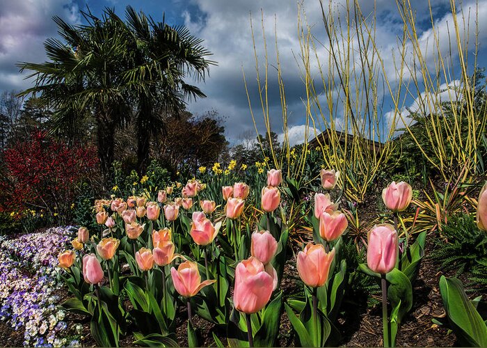 Spring Greeting Card featuring the photograph Spring At Duke Gardens by Cynthia Wolfe