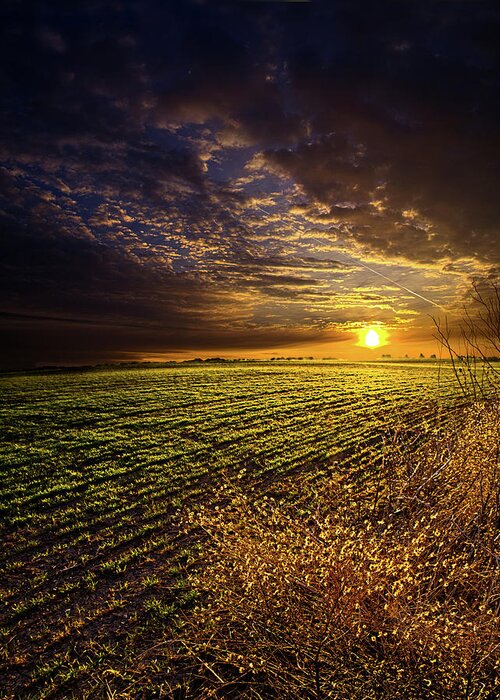 Horizons Greeting Card featuring the photograph Spring Awakening by Phil Koch