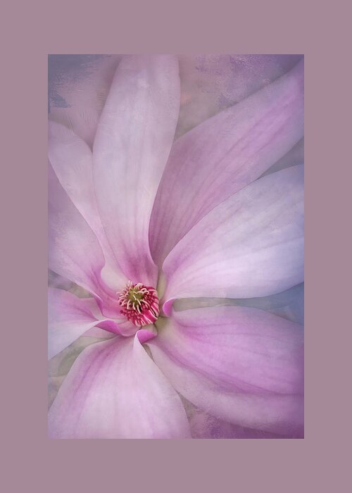 Magnolia Greeting Card featuring the photograph Spring Comes Softly by Jill Love