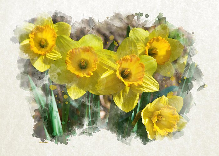 Daffodils Greeting Card featuring the mixed media Spring Daffodils Watercolor Art by Christina Rollo