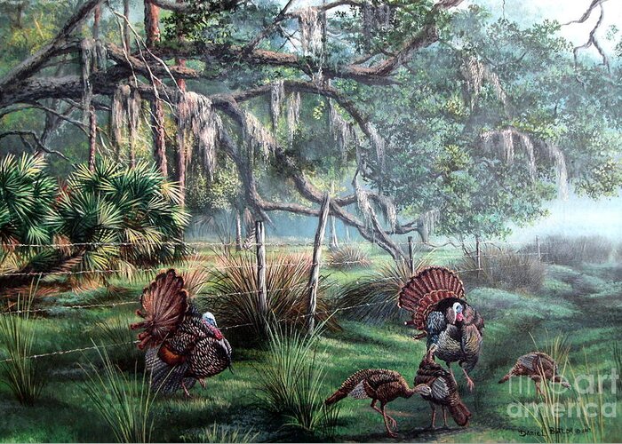 Florida Landscape Greeting Card featuring the painting Spring Dance-Osceola Turkeys by Daniel Butler