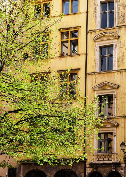 Printemps Greeting Card featuring the photograph Spring Green in Lyon by W Chris Fooshee