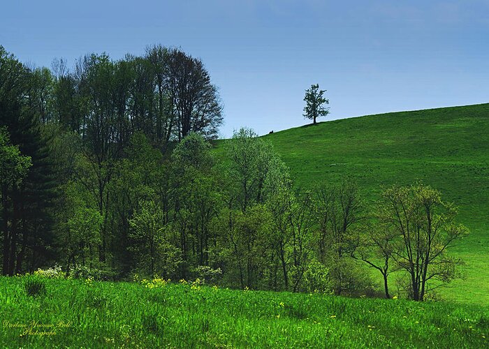 Hills Greeting Card featuring the photograph Spring On The Hill by Darlene Bell