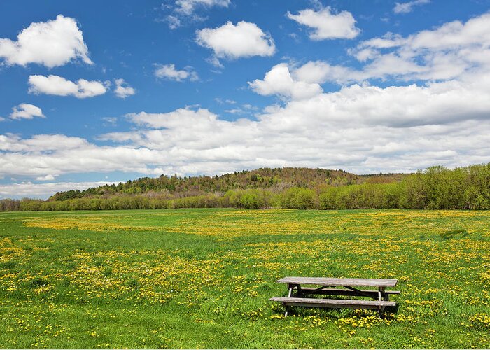 Spring Greeting Card featuring the photograph Spring Picnic by Alan L Graham