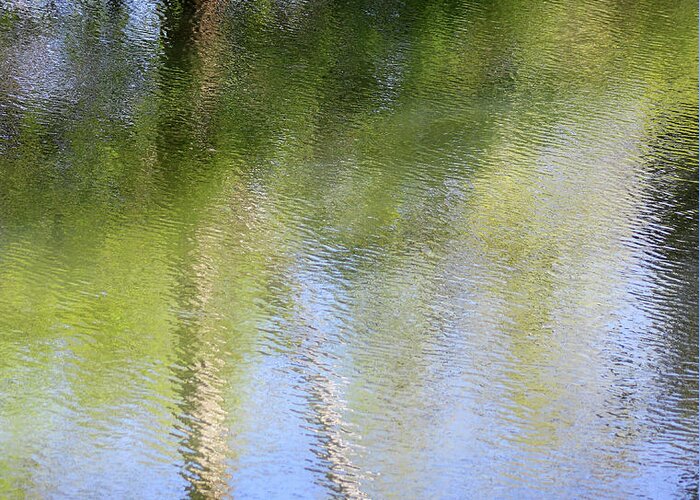 Reflection Greeting Card featuring the photograph Spring Reflection Abstract by Karen Adams