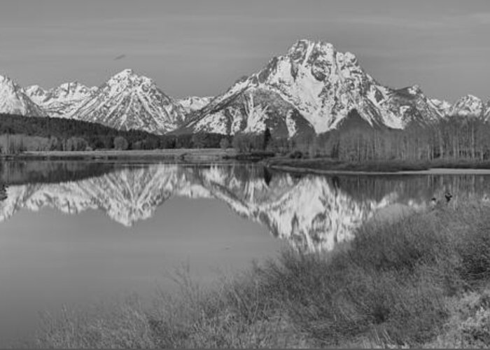 Black And White Greeting Card featuring the photograph Spring Reflections At Oxbow Bend Black And White by Adam Jewell