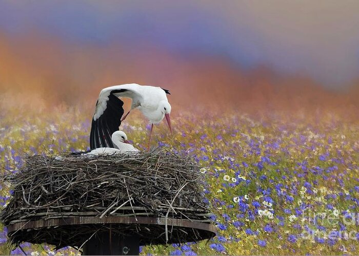 Storks Greeting Card featuring the photograph Spring,beautiful Spring by Eva Lechner