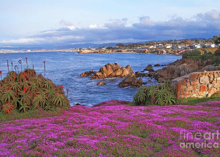 Pink Greeting Card featuring the photograph Springtime in Pacific Grove by Charlene Mitchell