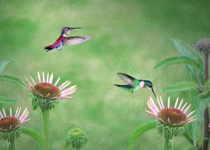 Hummingbirds Greeting Card featuring the digital art Springtime Nectar by Vicki Lea Eggen