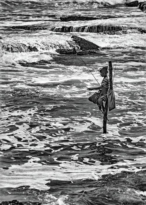 India Greeting Card featuring the photograph Sri Lanka - Stilt Fisherman 2 bw by Steve Harrington