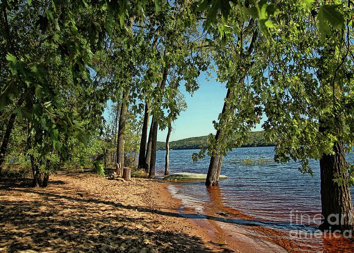 River Greeting Card featuring the photograph St Croix River Shoreline by Jimmy Ostgard
