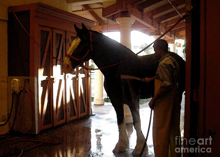 Horse Greeting Card featuring the photograph Stable Groom - 1 by Linda Shafer