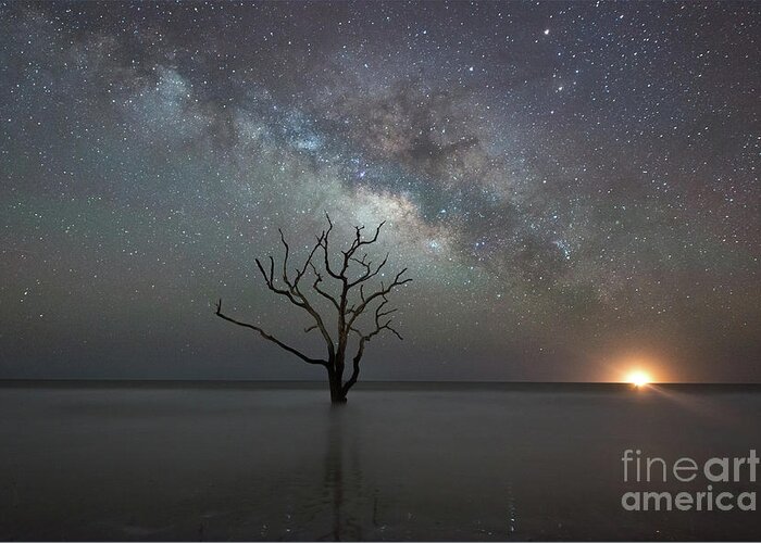 Botany Bay Milky Way Greeting Card featuring the photograph Standing Still by Michael Ver Sprill