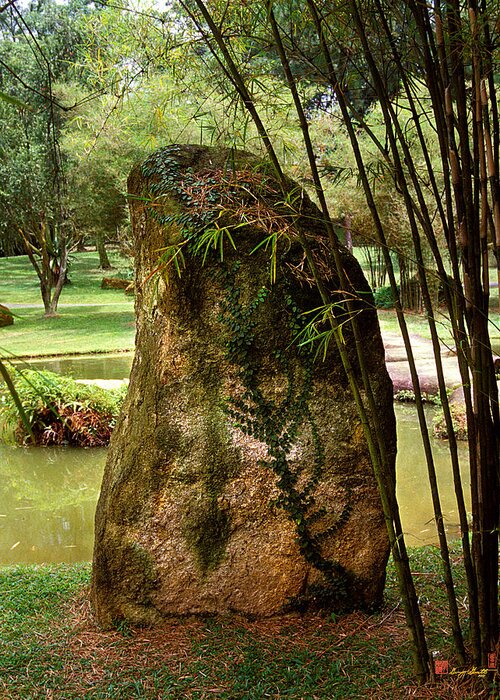 Standing Stone Greeting Card featuring the photograph Standing Stone with Fern and Bamboo 19A by Gerry Gantt