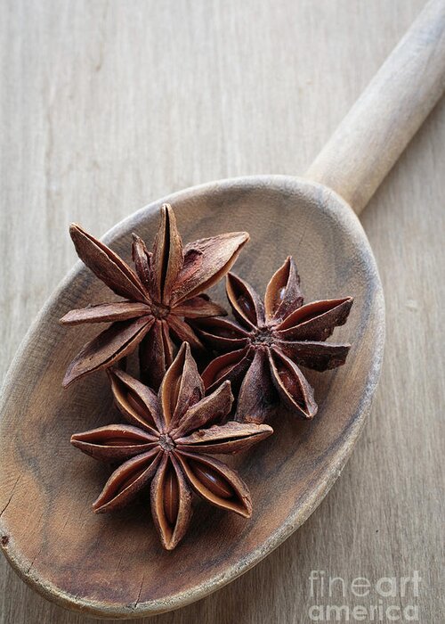 Food Greeting Card featuring the photograph Star Anise on a wooden spoon by Edward Fielding