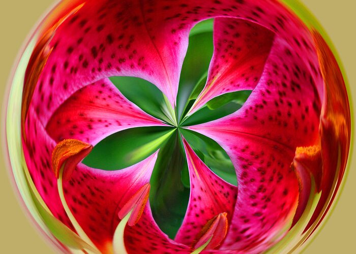 Stargazer Greeting Card featuring the photograph Stargazer Lily Orb by Bill Barber
