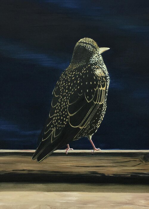 Starling Greeting Card featuring the painting Starling by Elisenda Vila