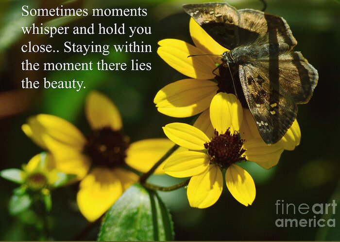 Yellow Greeting Card featuring the photograph Staying Within The Moment by Robyn King