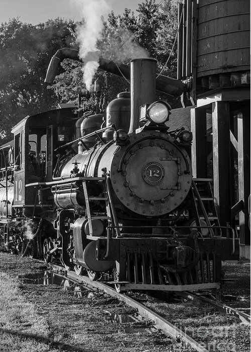 Train Greeting Card featuring the photograph Steam Train Engine #12 by Tamara Becker