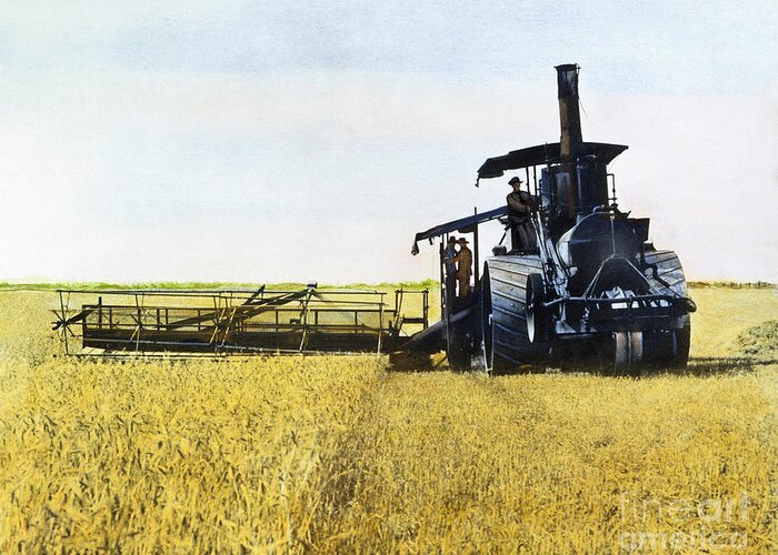 1903 Greeting Card featuring the photograph Steam Harvester, 1903 by Granger