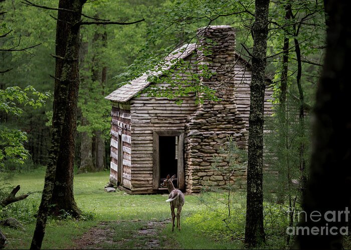 Cabin Greeting Card featuring the photograph Step Back in Time by Andrea Silies