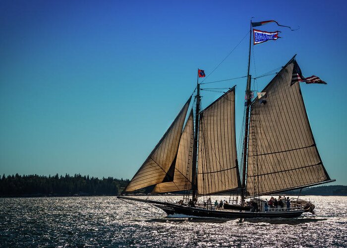 Schooner Greeting Card featuring the photograph Stephen Taber by Fred LeBlanc