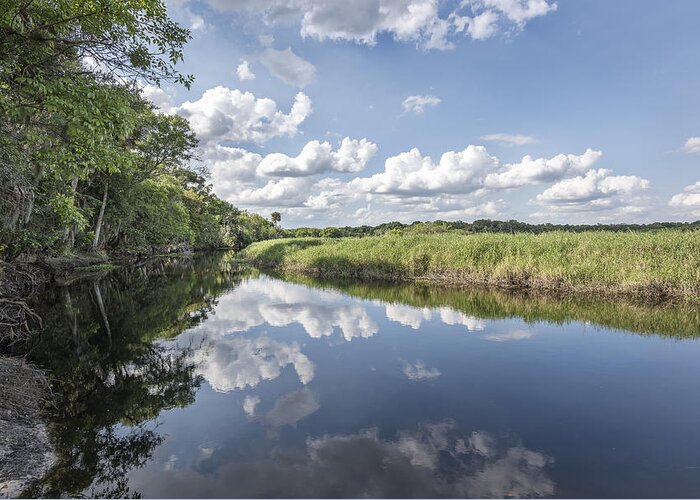 Myakka State Park Greeting Card featuring the photograph Still River by Jon Glaser