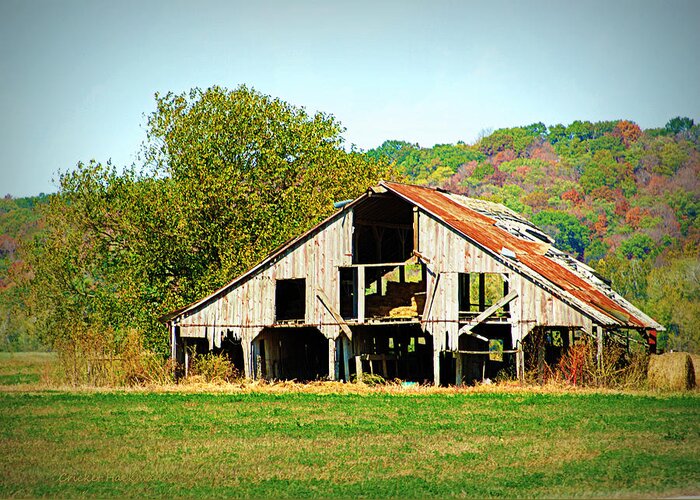 Barn Greeting Card featuring the photograph Still Standing by Cricket Hackmann
