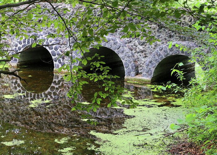 Bridge Greeting Card featuring the photograph Stone Bridge and Reflection 2 062618 by Mary Bedy
